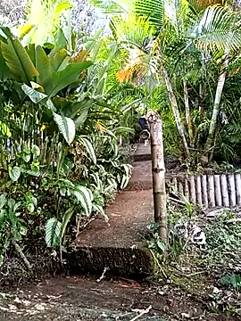 Dracoandr online show from December 1, 2025, 9:15 pm