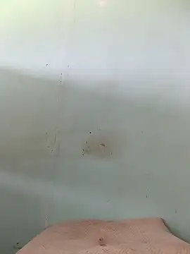 Dracoandr online show from October 31, 2025, 3:30 pm