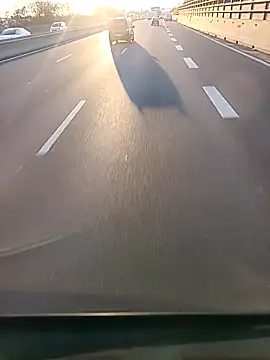 Snapshot of Dam70 chatting on December 4, 2025, 2:49 pm Dam70 online show from December 4, 2025, 2:49 pm