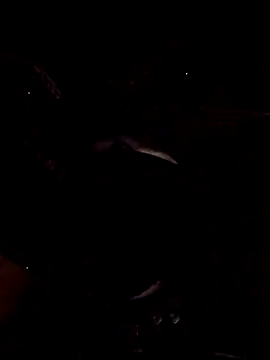 1Dseralmora2 online show from October 29, 2025, 11:09 am