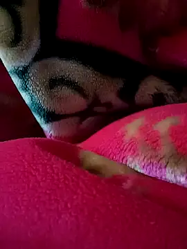 Snapshot of Arabian chatting on February 27, 2025, 9:14 pm Arabian online show from February 27, 2025, 9:14 pm