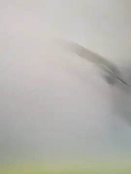 Yashkumar 0697 online show from November 16, 2025, 8:19 am