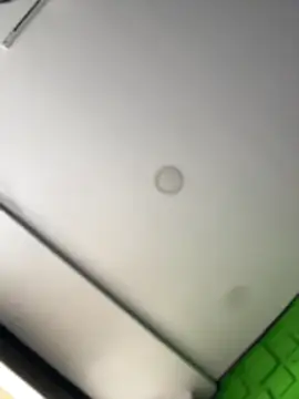 Snapshot of Dulce__Boyd chatting on March 14, 2026, 2:34 pm Dulce Boyd online show from March 14, 2026, 2:34 pm