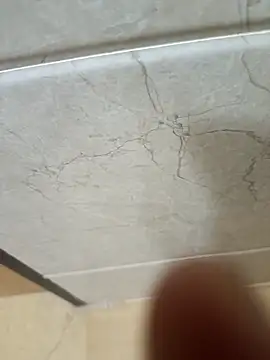 Snapshot of hard_bone69 chatting on March 19, 2026, 12:10 am hard bone69 online show from March 19, 2026, 12:10 am