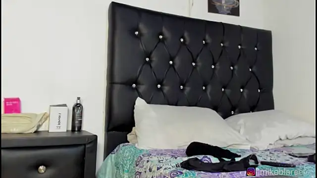 Snapshot of mikeblaree chatting on March 5, 2026, 6:37 pm mikeblaree online show from March 5, 2026, 6:37 pm