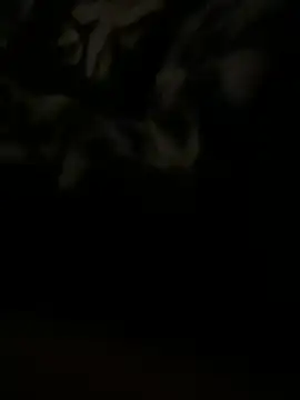 Snapshot of salma74779 chatting on March 20, 2025, 11:45 pm salma74779 online show from March 20, 2025, 11:45 pm