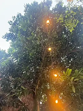 Snapshot of aurora_coldd chatting on October 27, 2025, 10:22 pm aurora coldd online show from October 27, 2025, 10:22 pm