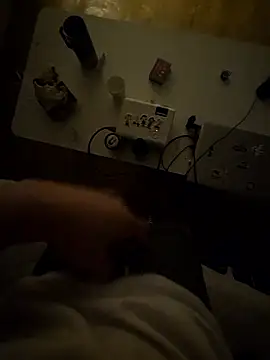 Snapshot of pokorogo2 chatting on March 29, 2026, 2:08 pm pokorogo2 online show from March 29, 2026, 2:08 pm