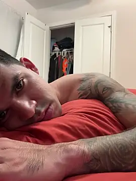 Snapshot of lancebrek chatting on February 27, 2025, 12:25 am lancebrek online show from February 27, 2025, 12:25 am