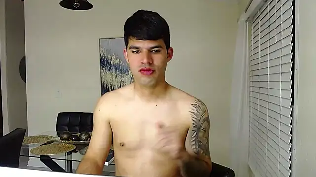 Snapshot of lancebrek chatting on March 18, 2025, 1:13 am lancebrek online show from March 18, 2025, 1:13 am