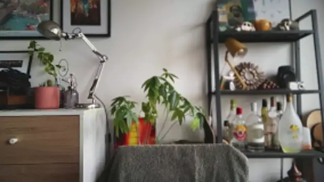 MikymikeBBWD online show from February 24, 2026, 2:18 pm