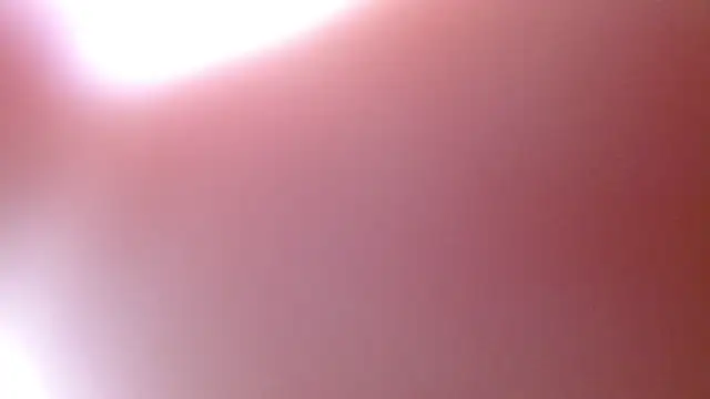 camilah tk online show from April 22, 2026, 12:12 pm