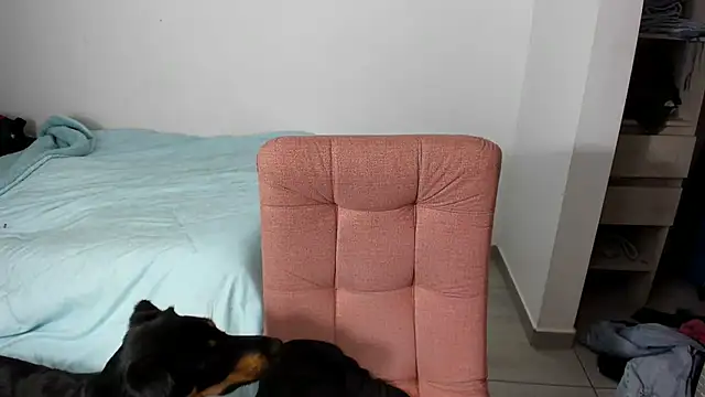 Greciaruiz  online show from February 11, 2026, 11:26 pm