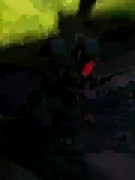 stfbi online show from February 21, 2025, 2:16 pm