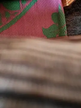 cocktony online show from January 13, 2026, 9:35 am