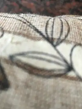 Snapshot of cocktony chatting on March 2, 2025, 9:21 am cocktony online show from March 2, 2025, 9:21 am