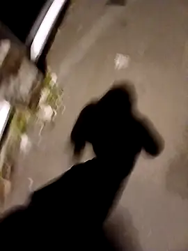 Eusuntnoulgigolo online show from October 14, 2025, 6:08 pm