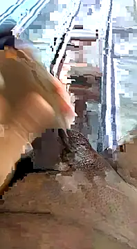 Snapshot of desi_pb02 chatting on November 11, 2025, 4:29 am desi pb02 online show from November 11, 2025, 4:29 am