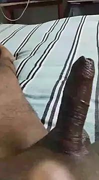 Snapshot of desi_pb02 chatting on October 7, 2025, 6:31 pm desi pb02 online show from October 7, 2025, 6:31 pm