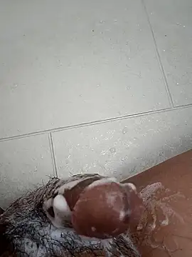 Snapshot of Tyaniks chatting on September 30, 2025, 10:54 am Tyaniks online show from September 30, 2025, 10:54 am