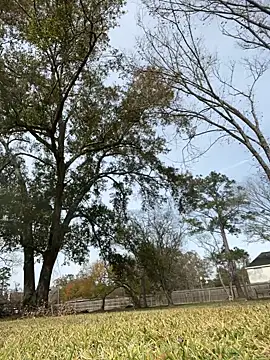 HTXBELLE online show from December 16, 2025, 5:06 pm