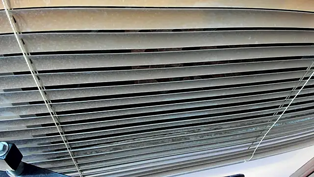 Snapshot of SaraClub_JY chatting on October 21, 2025, 10:42 pm SaraClub JY online show from October 21, 2025, 10:42 pm