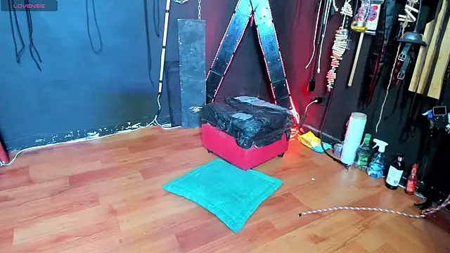 Snapshot of BDSM_SUBMISSION3 chatting on November 6, 2025, 2:48 am BDSM SUBMISSION3 online show from November 6, 2025, 2:48 am