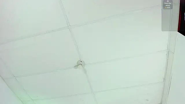 Snapshot of cutie_sarax1 chatting on November 10, 2025, 12:10 pm cutie sarax1 online show from November 10, 2025, 12:10 pm