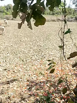 Snapshot of cute1gfbf chatting on March 5, 2025, 7:05 am cute1gfbf online show from March 5, 2025, 7:05 am