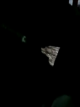 psyb23 online show from March 19, 2025, 7:17 pm