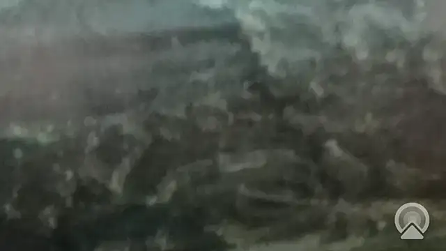 longsexji online show from March 19, 2026, 6:19 pm