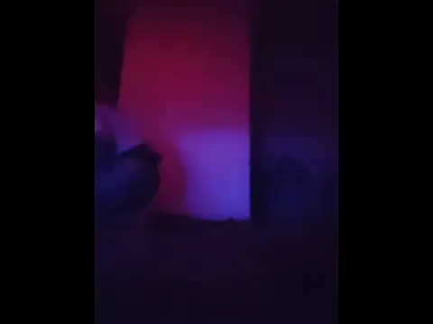 PnpNNJ1 online show from February 28, 2026, 1:05 am