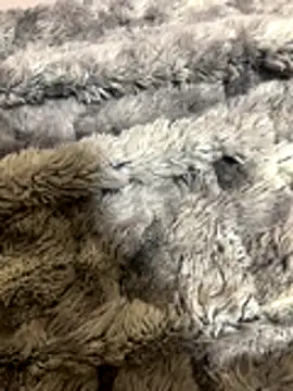 Snapshot of Gabduro80 chatting on November 30, 2025, 9:59 pm Gabduro80 online show from November 30, 2025, 9:59 pm