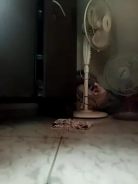 payalchola online show from March 14, 2026, 7:25 am