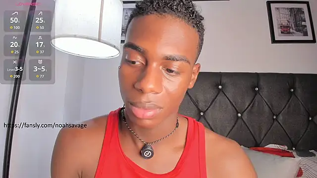 Snapshot of noah_johes chatting on June 5, 2026, 6:52 am noah johes online show from June 5, 2026, 6:52 am