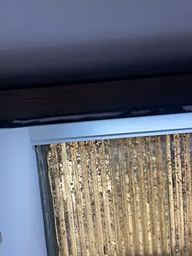 Snapshot of Madisson-Rivas chatting on November 13, 2025, 6:12 pm Madisson-Rivas online show from November 13, 2025, 6:12 pm