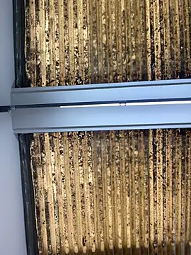 Snapshot of Madisson-Rivas chatting on October 14, 2025, 7:14 pm Madisson-Rivas online show from October 14, 2025, 7:14 pm