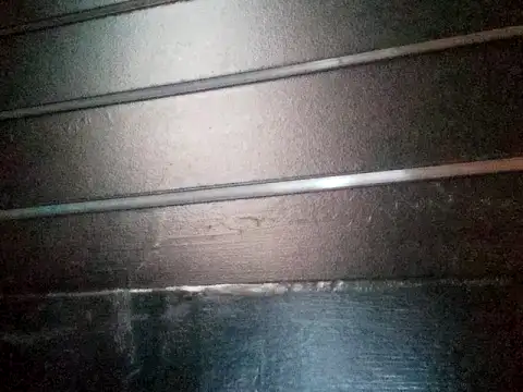 wetnwildforyou online show from October 25, 2025, 6:01 am