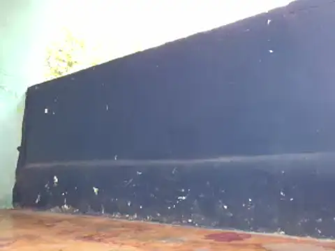 Snapshot of Ladyzee25 chatting on November 29, 2025, 4:29 pm Ladyzee25 online show from November 29, 2025, 4:29 pm