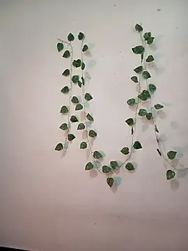 Neha-Bhabhi-Rasily online show from February 10, 2026, 4:44 am