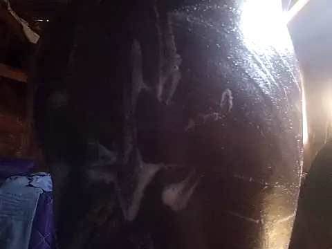 Smart24 online show from September 15, 2025, 9:43 am