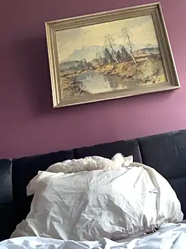 Saysay-7 online show from February 23, 2026, 12:28 pm