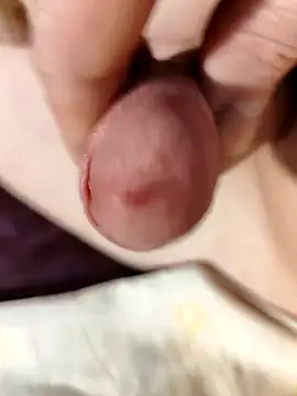 Snapshot of --Serhei-- chatting on February 15, 2026, 9:52 am --Serhei-- online show from February 15, 2026, 9:52 am