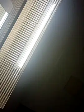 Snapshot of KITTYBOOBOOFUXX chatting on November 20, 2025, 5:08 am KITTYBOOBOOFUXX online show from November 20, 2025, 5:08 am