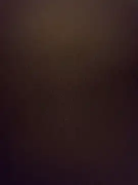 Snapshot of Stumbopole chatting on November 4, 2025, 12:58 am Stumbopole online show from November 4, 2025, 12:58 am