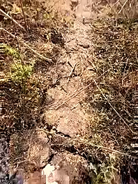 himvilohi08 online show from February 28, 2026, 3:17 am