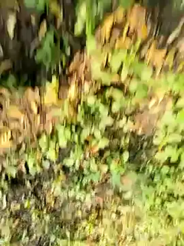 Snapshot of himvilohi08 chatting on October 21, 2025, 10:47 am himvilohi08 online show from October 21, 2025, 10:47 am