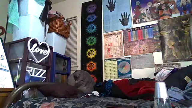 Snapshot of GardeniaFields chatting on October 26, 2025, 3:51 am GardeniaFields online show from October 26, 2025, 3:51 am