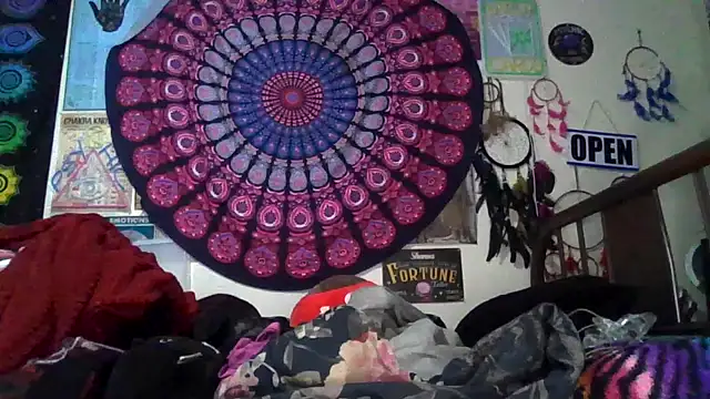 GardeniaFields online show from February 24, 2026, 8:59 am