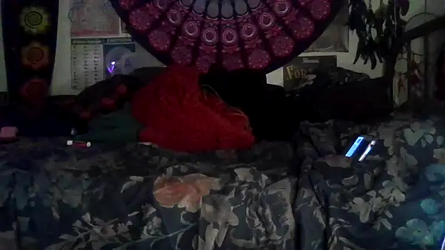 GardeniaFields online show from February 7, 2026, 9:06 am